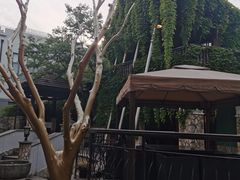 -得丘礼享谷·玉兰苑