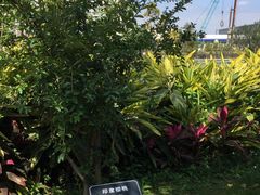 -厦门悦华酒店