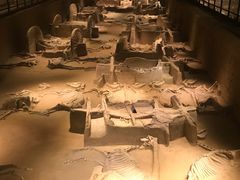 -洛阳周王城天子驾六博物馆