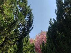 -石岛赤山风景区