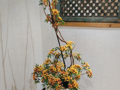 -中国徽菜·徽商故里(广安门店)