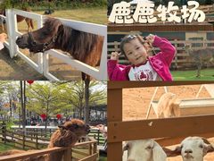 -盈香心动乐园