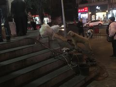 -邓记新一代糖油果子(四川煤管局供销公司职工宿舍店)