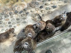 -水上乐园·欢乐世界