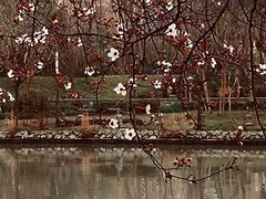 -苏州河梦清园环保主题公园