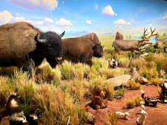 -陕西自然博物馆