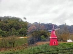 -千岛湖龙川湾
