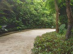 -小南山公园