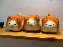 -柴务处·柴犬主题狗咖