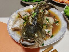 -小蝌蚪·寻·月嫂(普陀总部)