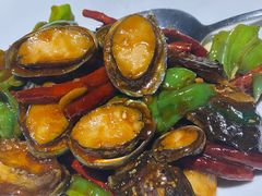 船歌辣炒小鲍鱼-船歌·鱼水饺青岛菜(闽江二路店)