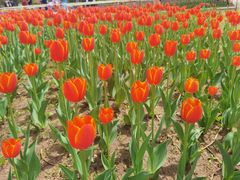 -长春公园(普阳街道)