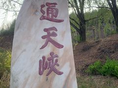 -山西通天峡景区