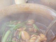 -明辉田鸡粥