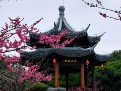 -江心屿景区