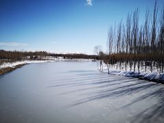 -大兴滨河森林公园