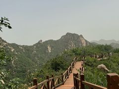 -大岭沟猕猴桃谷风景区
