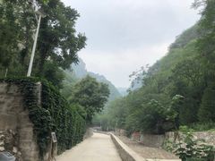 -北京上方山国家森林公园