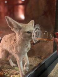 -酷嗒动物文化乐园(cutezoo西溪乐天城店)