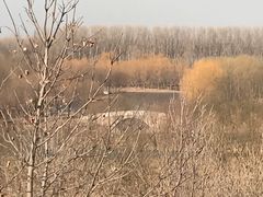 -东郊湿地公园
