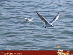 -蠡湖大桥公园