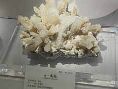 -湖南省地质博物馆