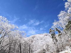 -终南山国家森林公园