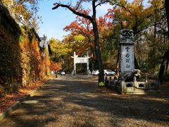 -灵谷景区