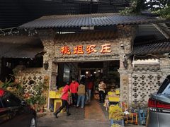 -桃姐农庄老字号(从化温泉店)