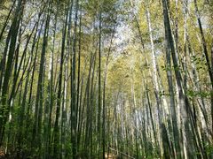 -南山风景名胜区