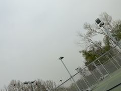 -网动网球培训(北京友谊宾馆校区)