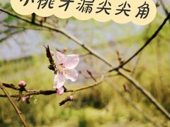 -东湖生态旅游风景区
