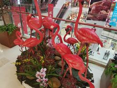 -高新活力汇Vitality