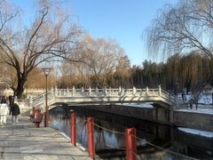 -元大都城垣遗址公园