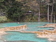 -黄龙山原始森林景区
