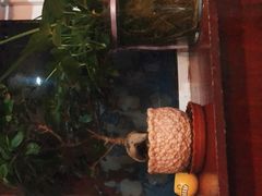 -阳光披萨(辽宁路店)