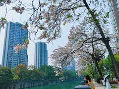 -成都市活水公园