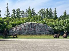 -上海海湾国家森林公园