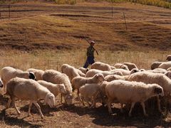 -塞罕坝国家级自然保护区