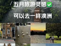 -悉尼歌剧院