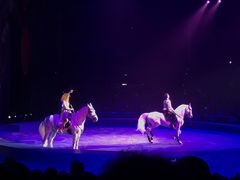 -珠海横琴长隆《卡卡虎奇遇记》