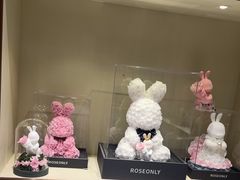 -ROSEONLY诺誓(磐基中心店)