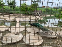 -河北村民俗体验园