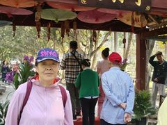 -西双版纳傣族园