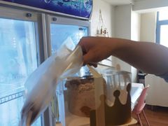-今日·TODAY手作低脂动物奶油蛋糕定制(高新万达店)