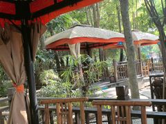 -二荆条·蜀鲜汇城市森林火锅