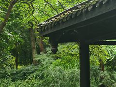 -王家渡火锅(三苏祠店)