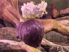 -正佳雨林生态植物园
