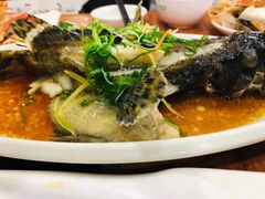-刘记糟粕醋海鲜烧烤