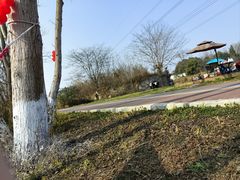 -桤木河湿地公园